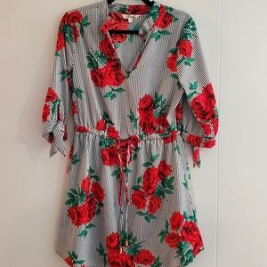 Black and white striped, red floral desss